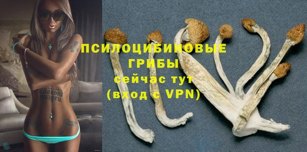 таблы Бронницы