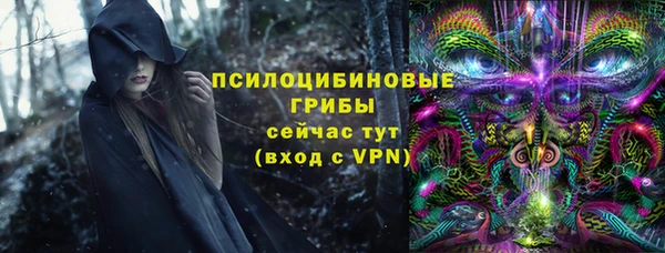 MDMA Богородицк