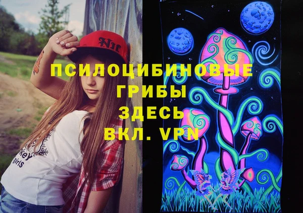 MDMA Богородицк