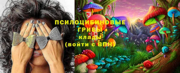 МДМА Богданович