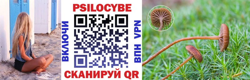 Псилоцибиновые грибы мицелий  darknet какой сайт  Минеральные Воды  наркошоп  blacksprut ссылка 
